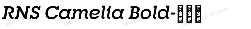 RNS Camelia Bold字体转换